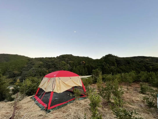 山の中の平地に建てられたテント