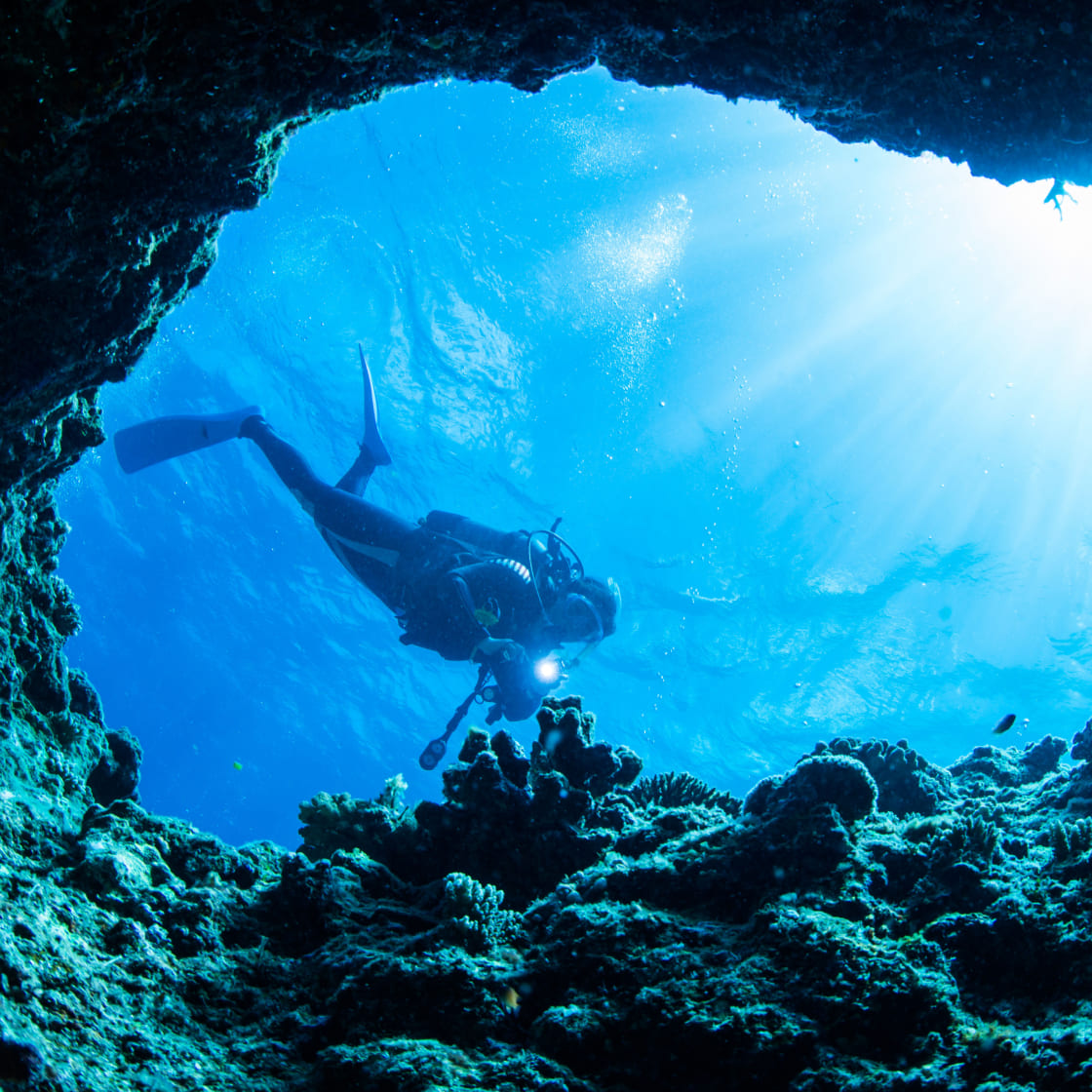 ダイビングをしている人