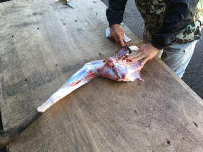 捌かれている途中の動物の脚