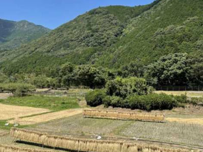 山の裾野に広がる田園