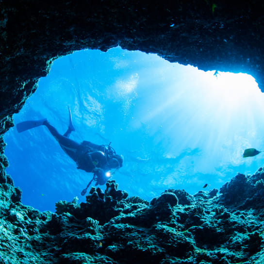 ダイビングをしている人