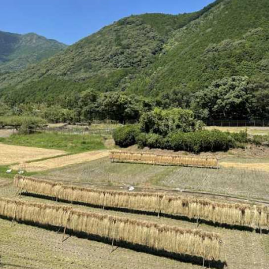 山の裾野に広がる田園